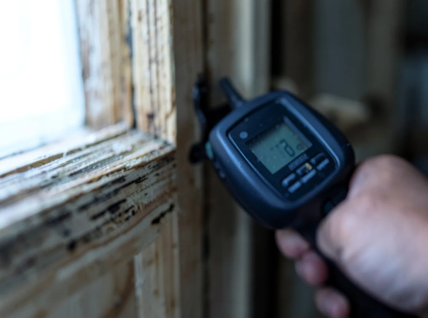 Moisture Inspection And Documentation in Woodford, VA